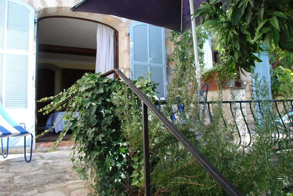 Les Orangers Bed & Breakfast Saint Paul de Vence Exterior photo