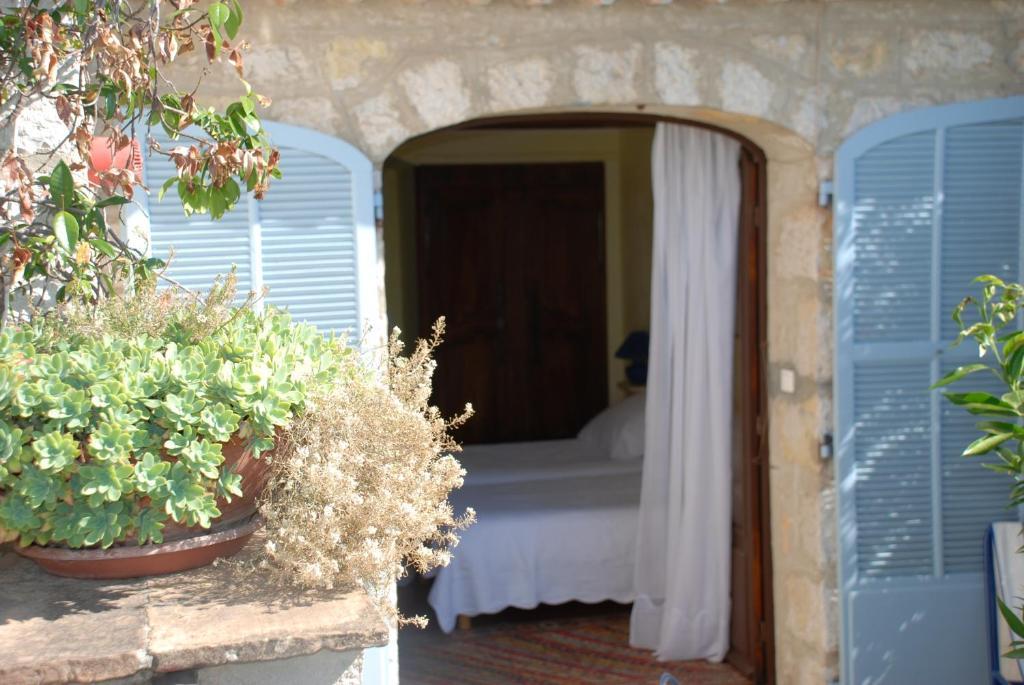 Les Orangers Bed & Breakfast Saint Paul de Vence Exterior photo